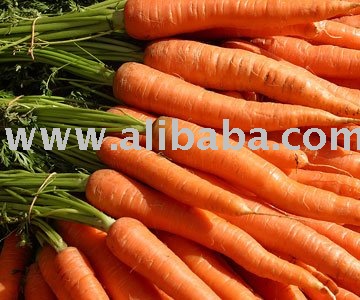 fresh carrots, caroot chips, dehydrated carrot,