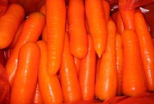 Fresh Carrots