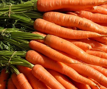 Quality Fresh carrots for sale