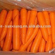 Sell fresh carrot
