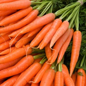 Fresh Carrots,dried ginger and garlics available now for sale