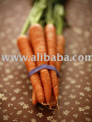 fresh carrots