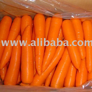 Carrots, Green beans,  Onion , Cocoa  seed  and buttel