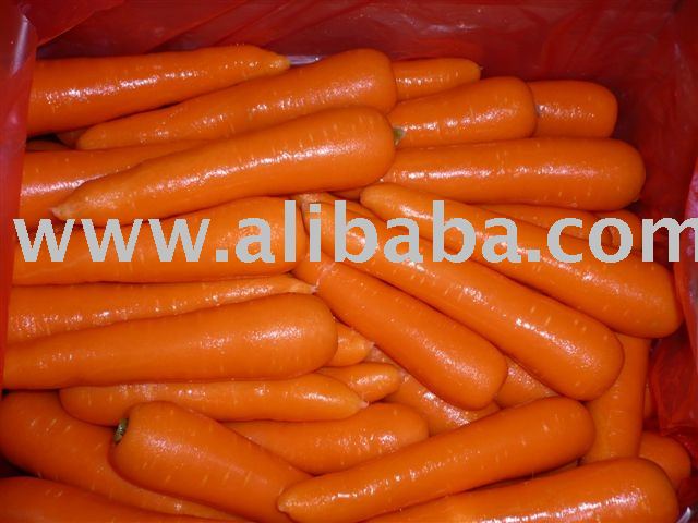  Carrot s