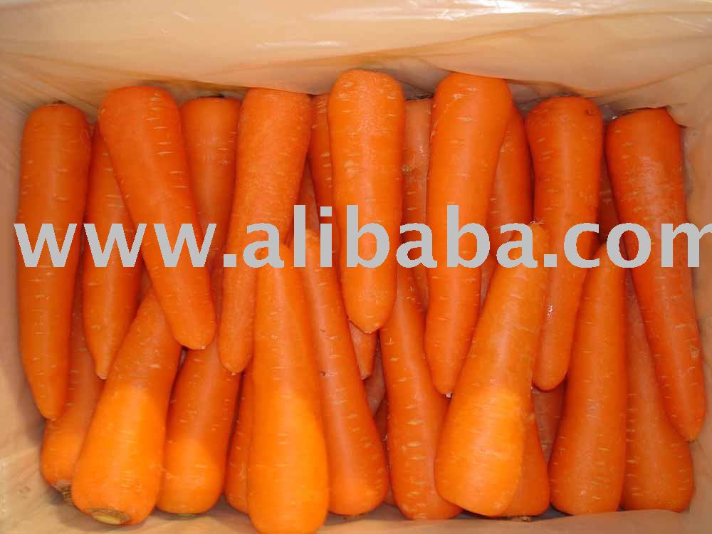 Fresh Carrot