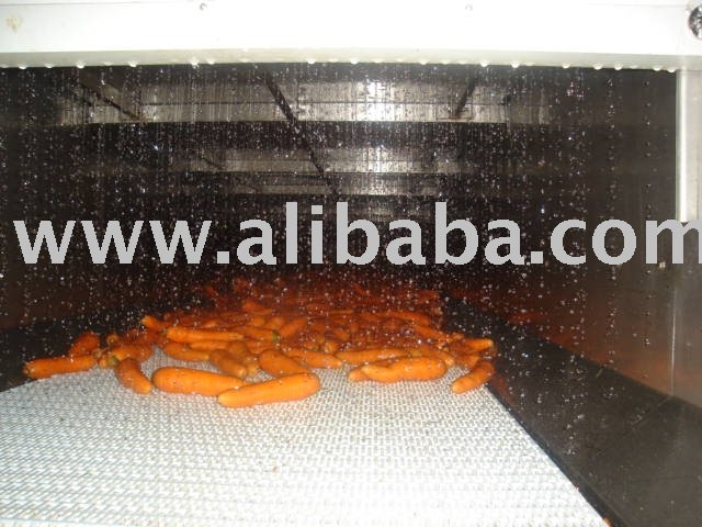 Fresh Carrots