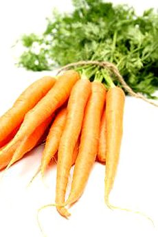 Fresh  carrots
