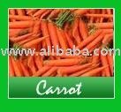 carrot
