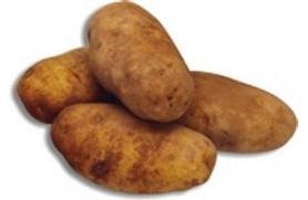 patates