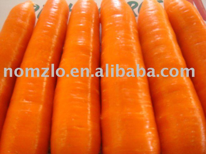 2011 Chinese Big Red Carrot