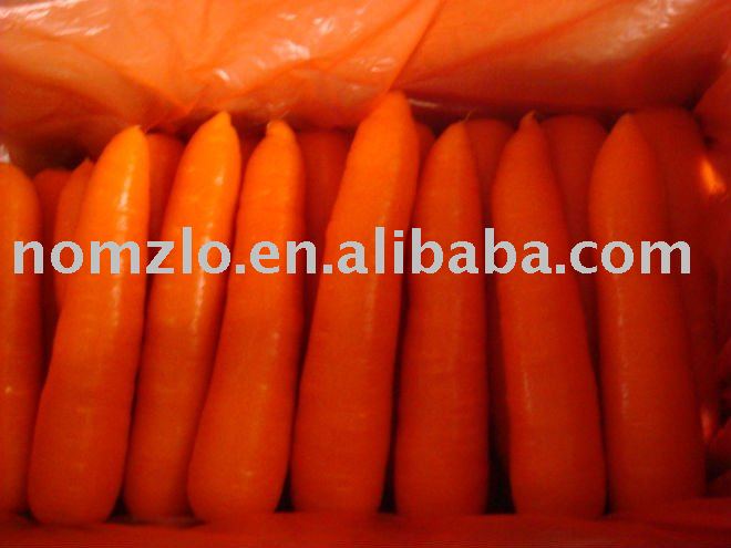 2011 High-quality Farm Fresh Carrot