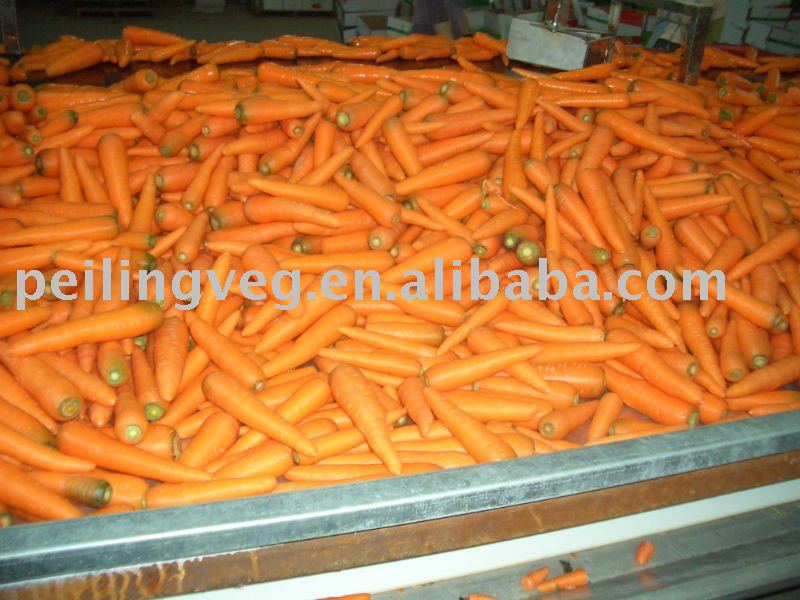 FRESH CARROT (125g-150g)