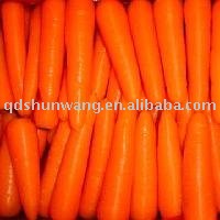  2011   fresh  carrot