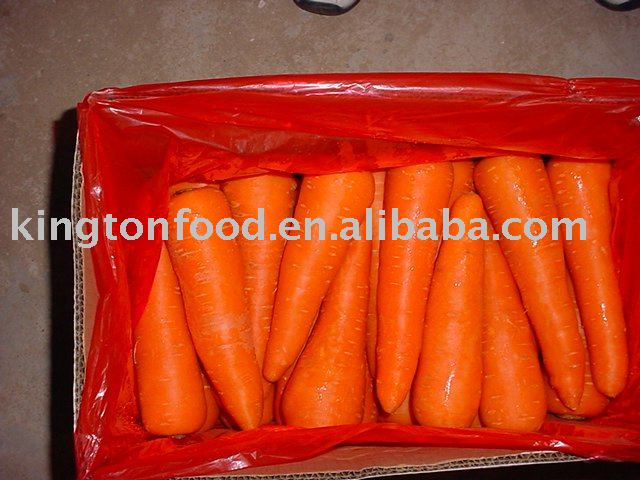  new   crop    fresh   carrot 