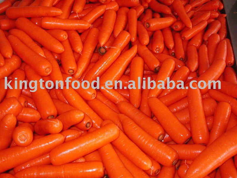 new crop 2010 fresh carrot