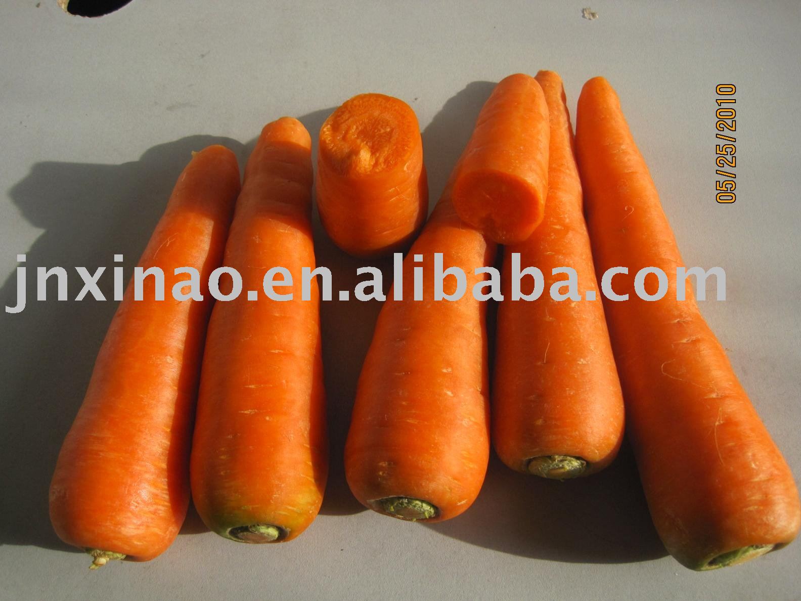 2010Chinese fresh long yellow shandong big carrot