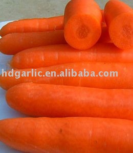 Chinese Red Carrot
