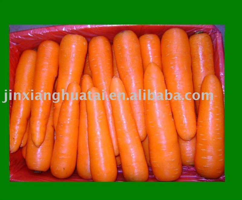 chinese  new   crop s  fresh   carrot 