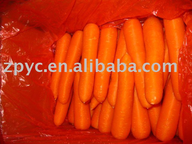Fresh Chinese carrot
