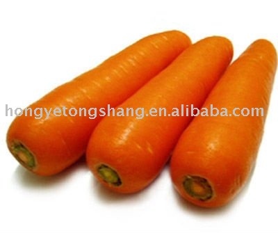 Farm Natural Fresh Carrots