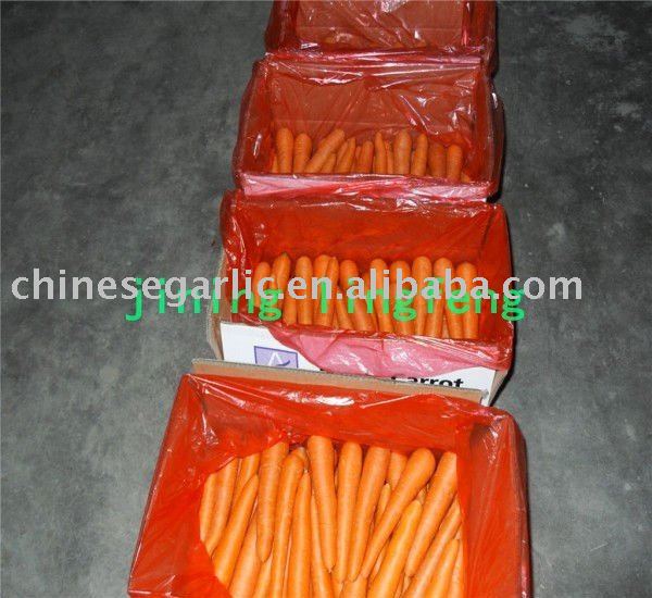Hot sale 2011 Chinese carrot 80g and up