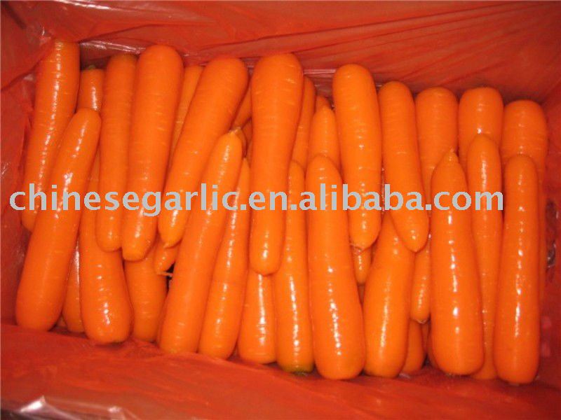 2011 carrot