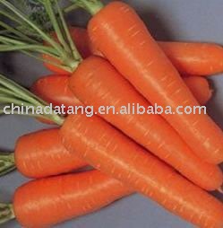 fresh vegetables chinese carrot