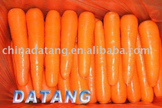 fresh carrot 2010 crop auttumn harvest new and high quality