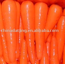 fresh carrot  orange yellow