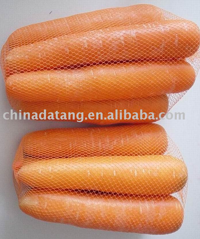fresh carrot  for exporting