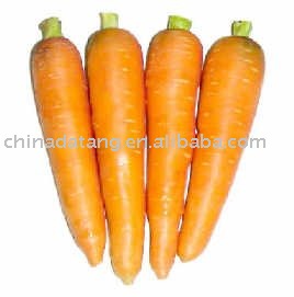 chinese fresh carrot 80-200g