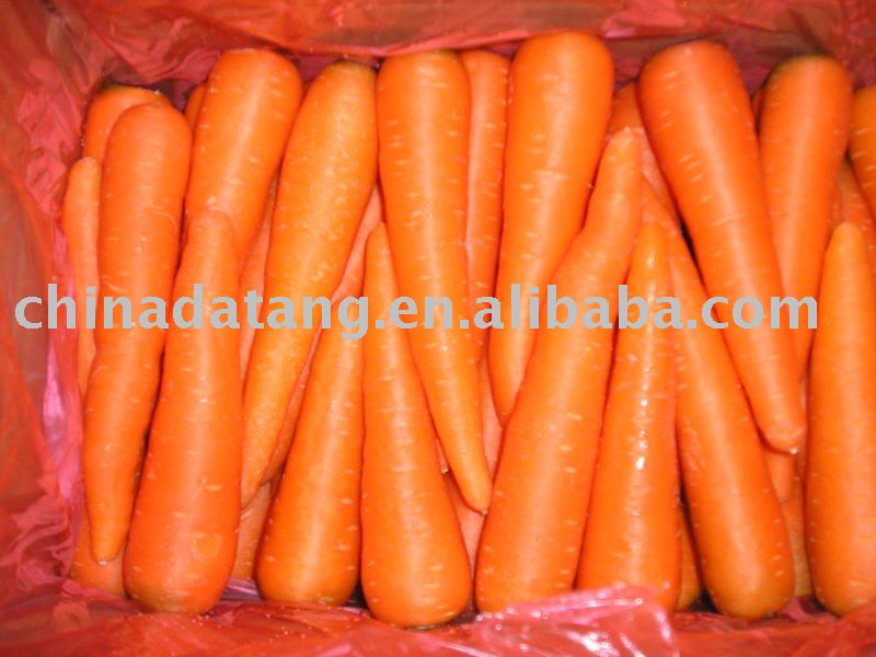 hot sale !!  bright red orange color ,high quality,fresh carrot