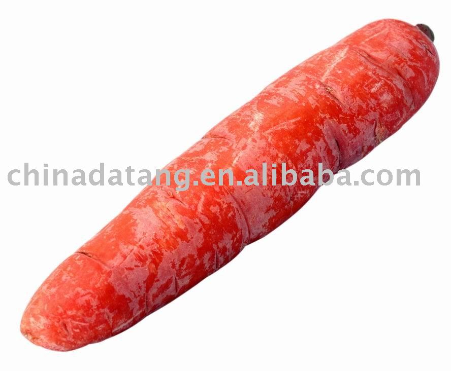 fresh carrot  YELLOW RED/autumn harvest carrot 2010 new