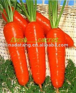  chinese   fresh   carrot  2010 new