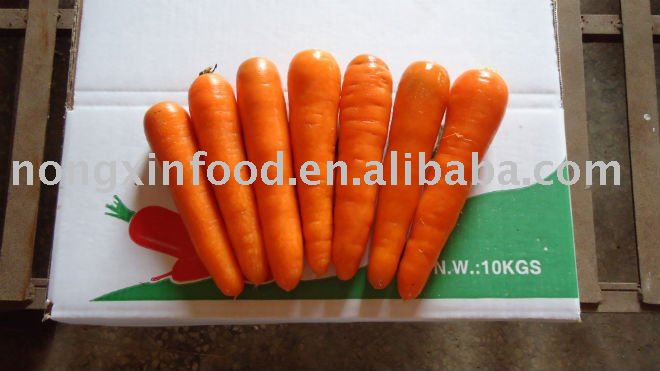 2011  new crop chinese fresh  carrot