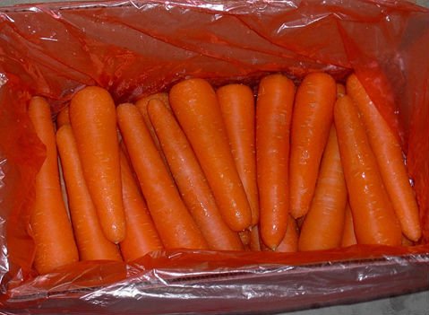 Chinese fresh carrot C-039