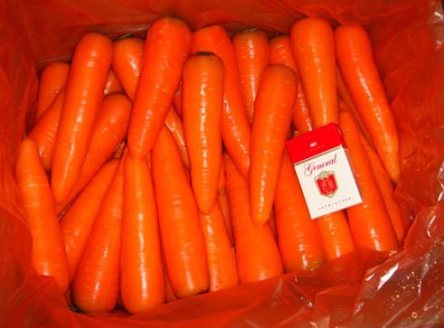 Organic Fresh Carrots C-028
