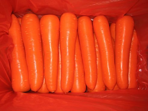 Farm Natural Fresh Carrots C-037