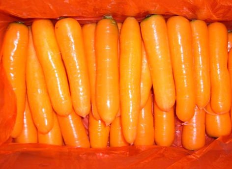 Shouguang Farm Fresh Carrot 200g C-036