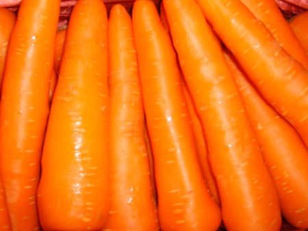 Chinese fresh carrot C-008