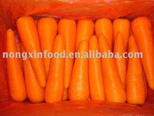 CHINESE CARROT  FRESH CARROT WASHED CARROT