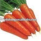 Vegetable, Fresh Vegetable, Fresh Preserved vegetable