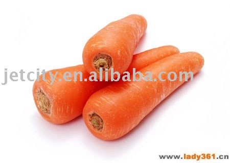 chinese carrot