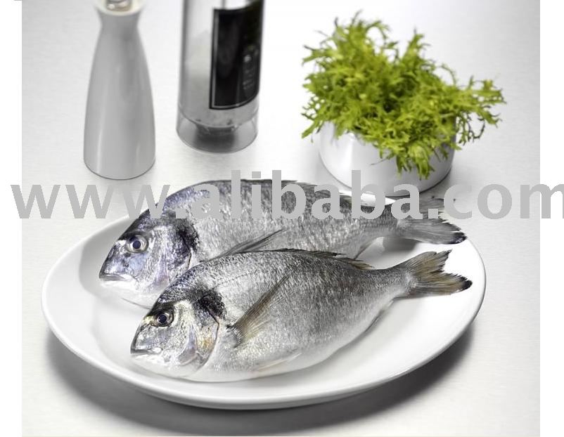 silver sea bream whole round