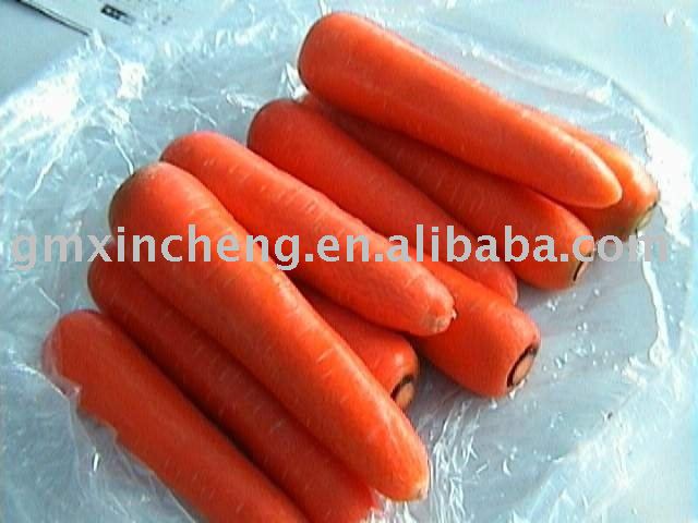 fresh chinese carrot,China xincheng price supplier - 21food