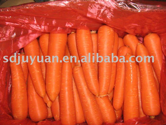 2011 Best Quanlity Fresh Carrots