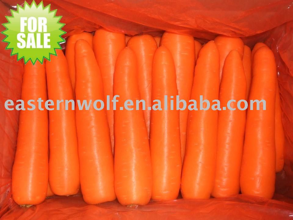 Chinese fresh carrot in carton package