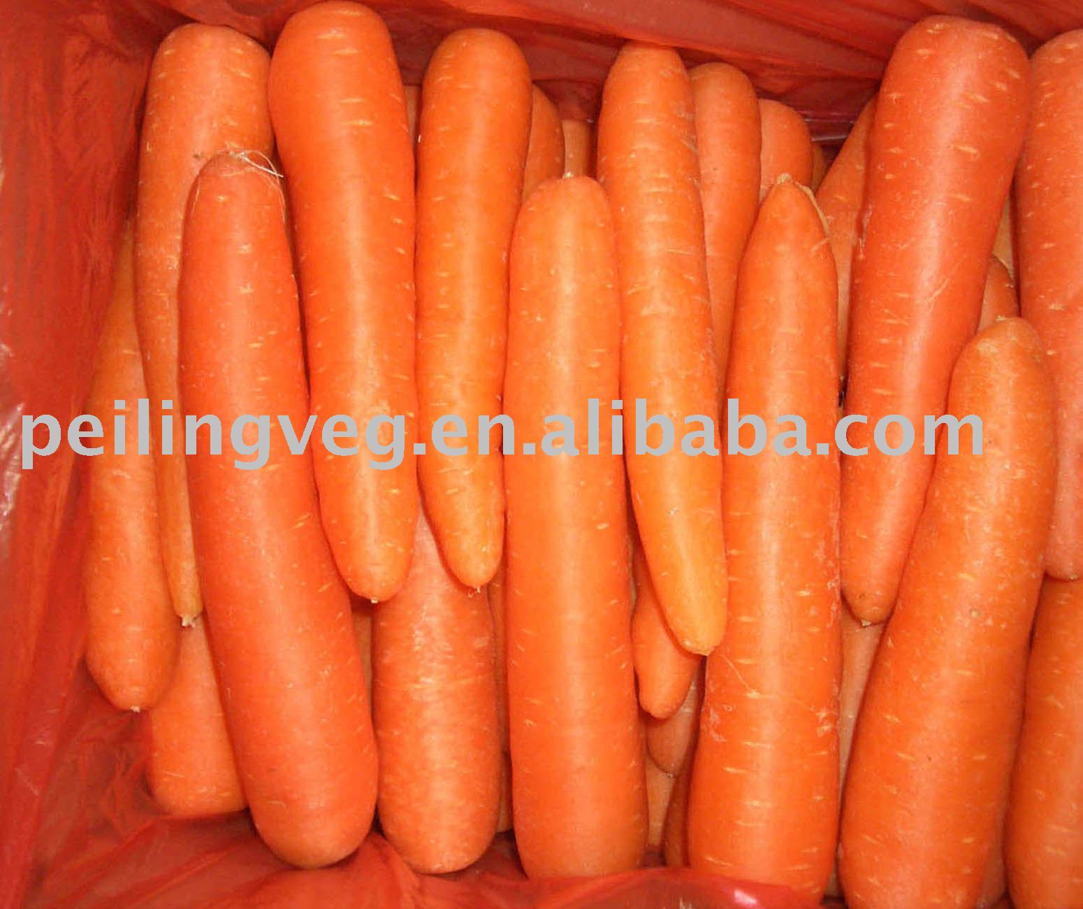 fresh   red   carrot (150- 250g )