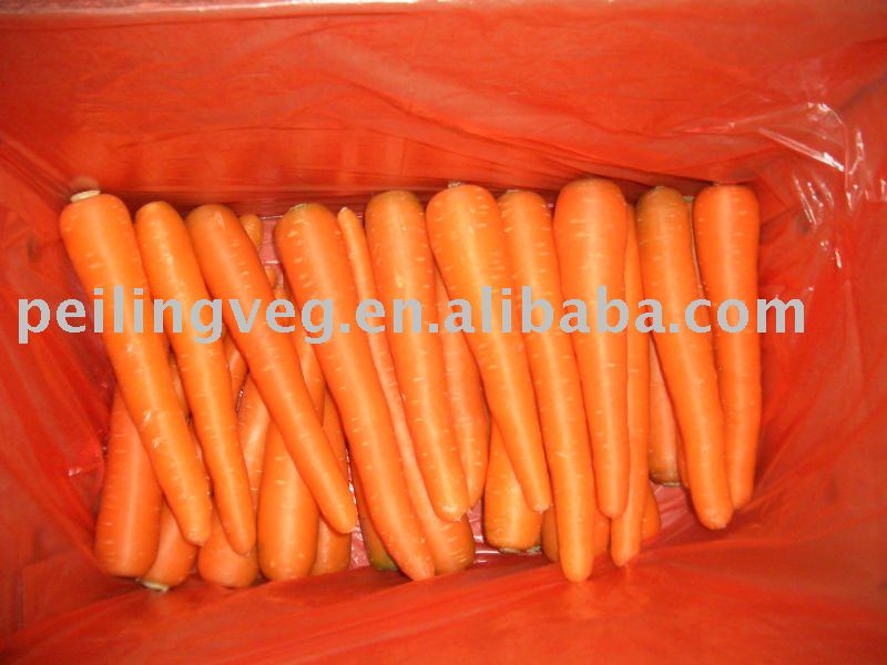SHOUGUANG FRESH CARROTS(NEW CROP)