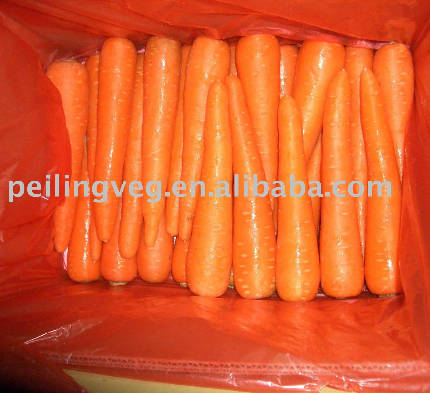 red heart fresh carrot (new crop)